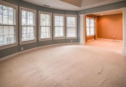 Affordable Stain Cleaning