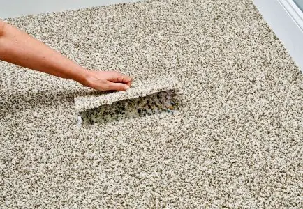 🎯 Carpet Spot Repair