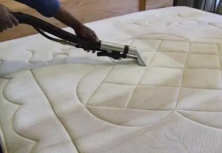 🌿 Eco-Safe, Family-Safe Cleaning