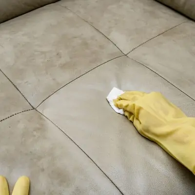 🐄 Leather Couch Cleaning Services