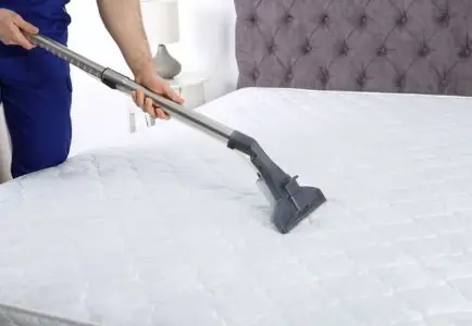 Remove Stains & Odours