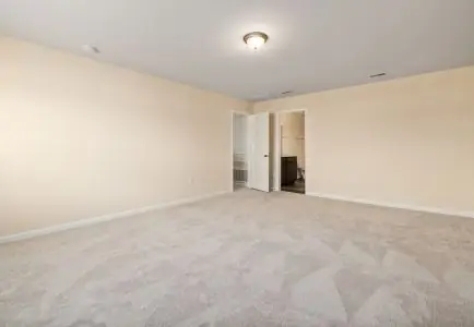 Same-Day Carpet Cleaning