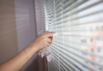 🏢 Same Day Curtain & Blind Cleaning