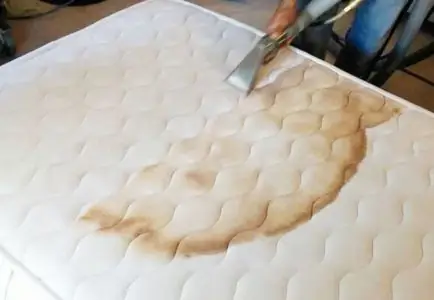 🧺 Same Day Mattress Cleaning